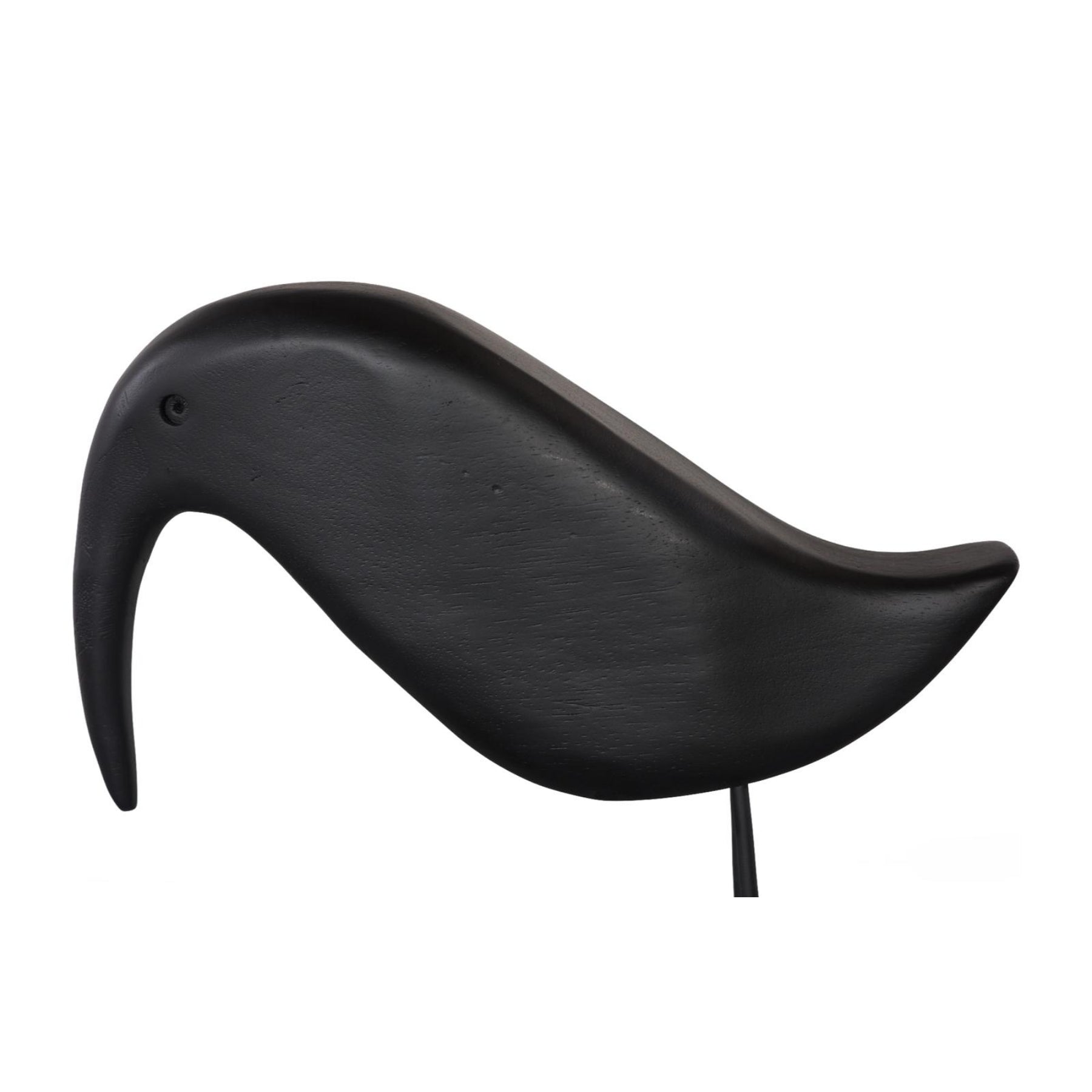 Black Bird
