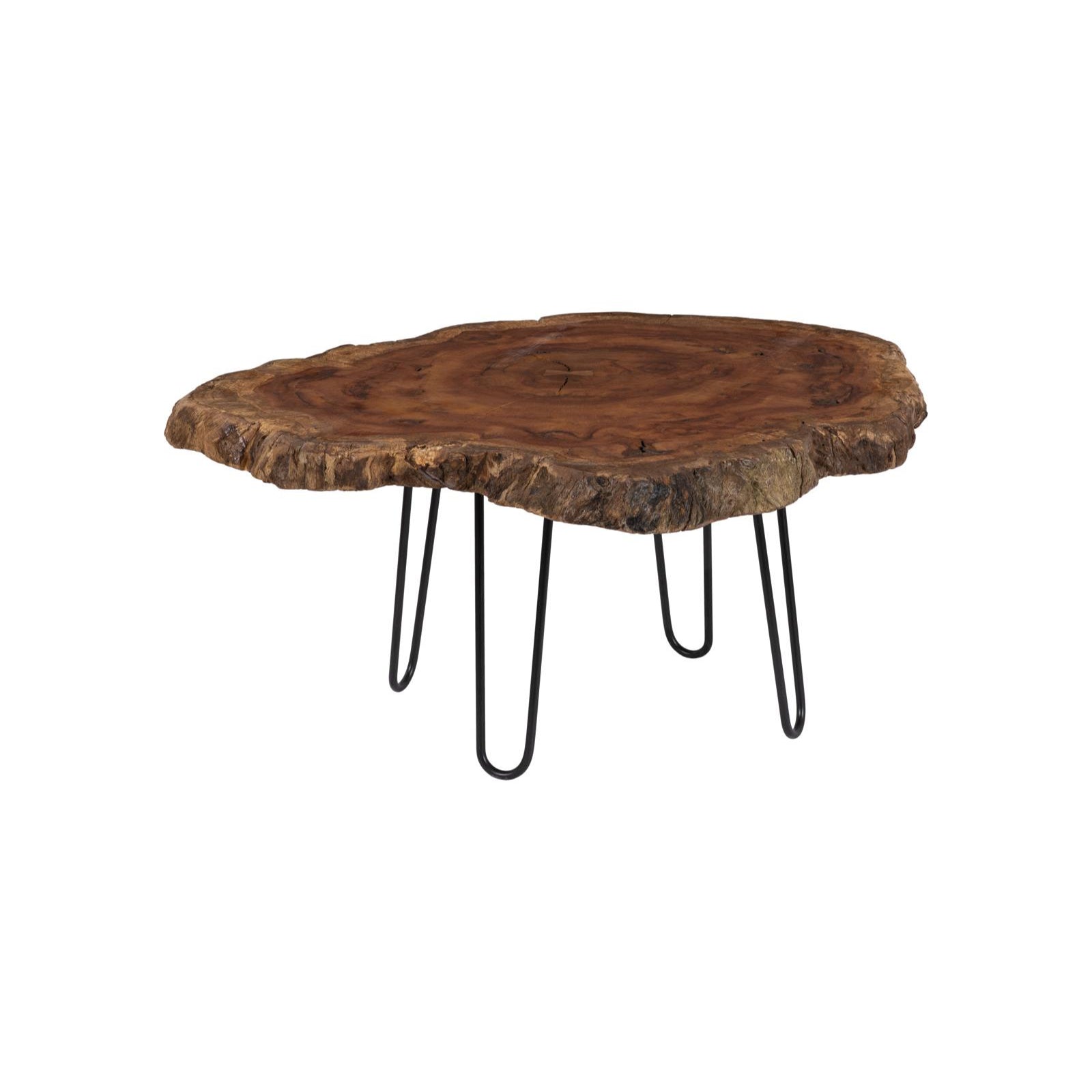 Burled Black Metal Legs Coffee Table