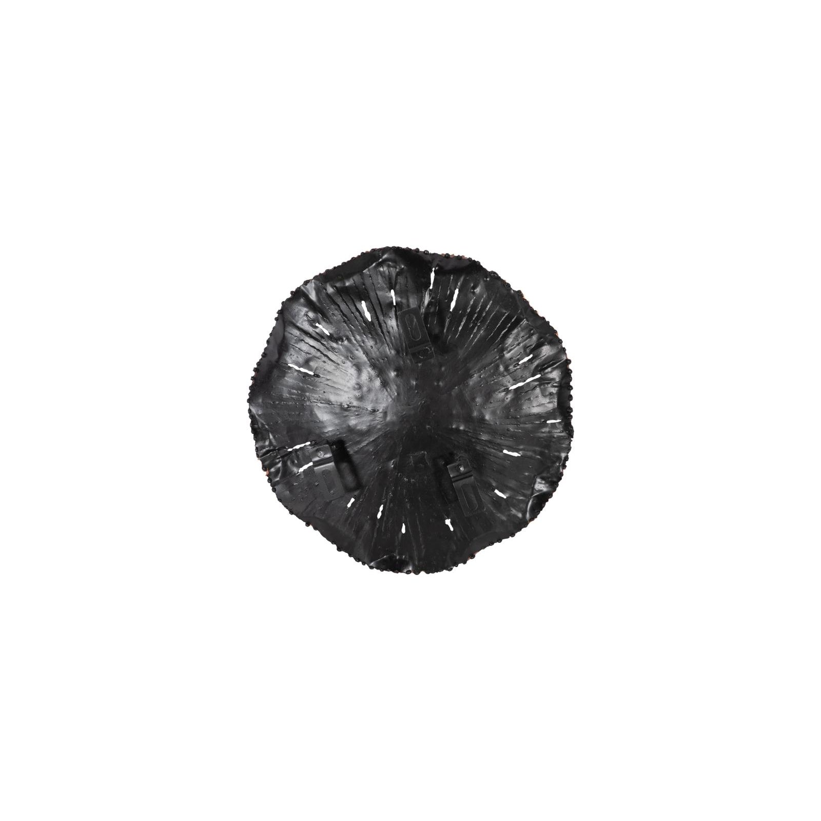 Lotus Wall Art