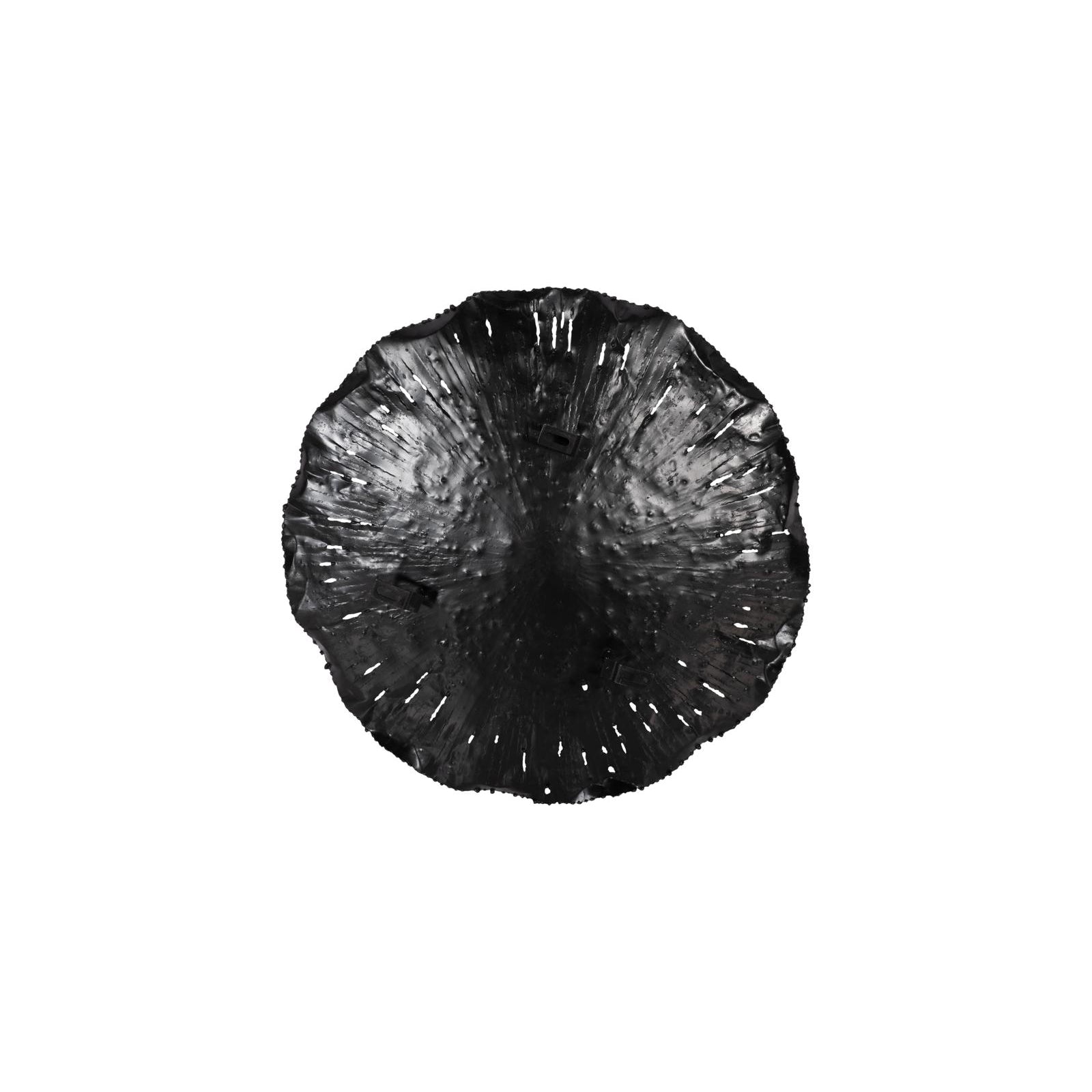 Lotus Wall Art