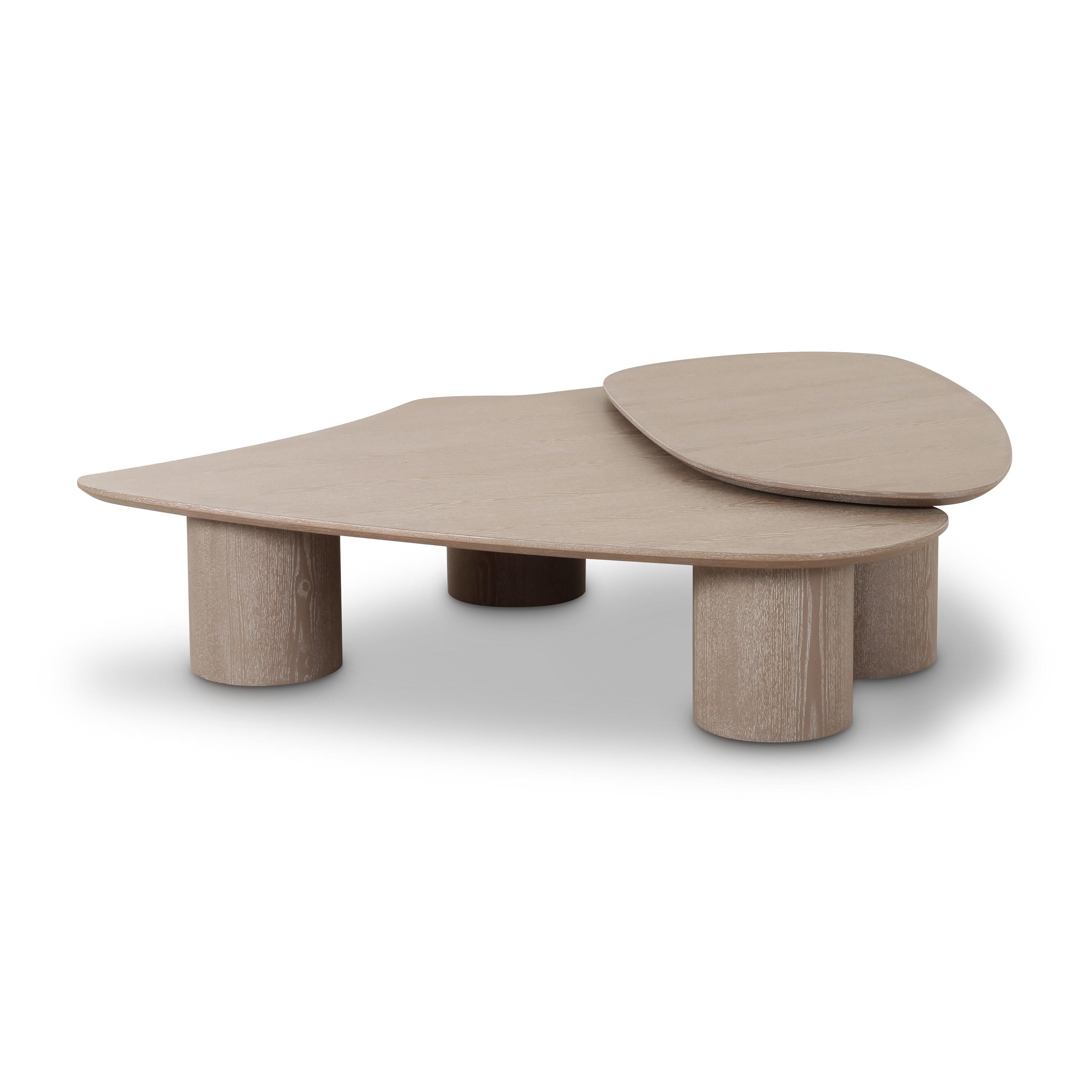 Rhema 2-Piece Washed Ash Nesting Coffee Table Set