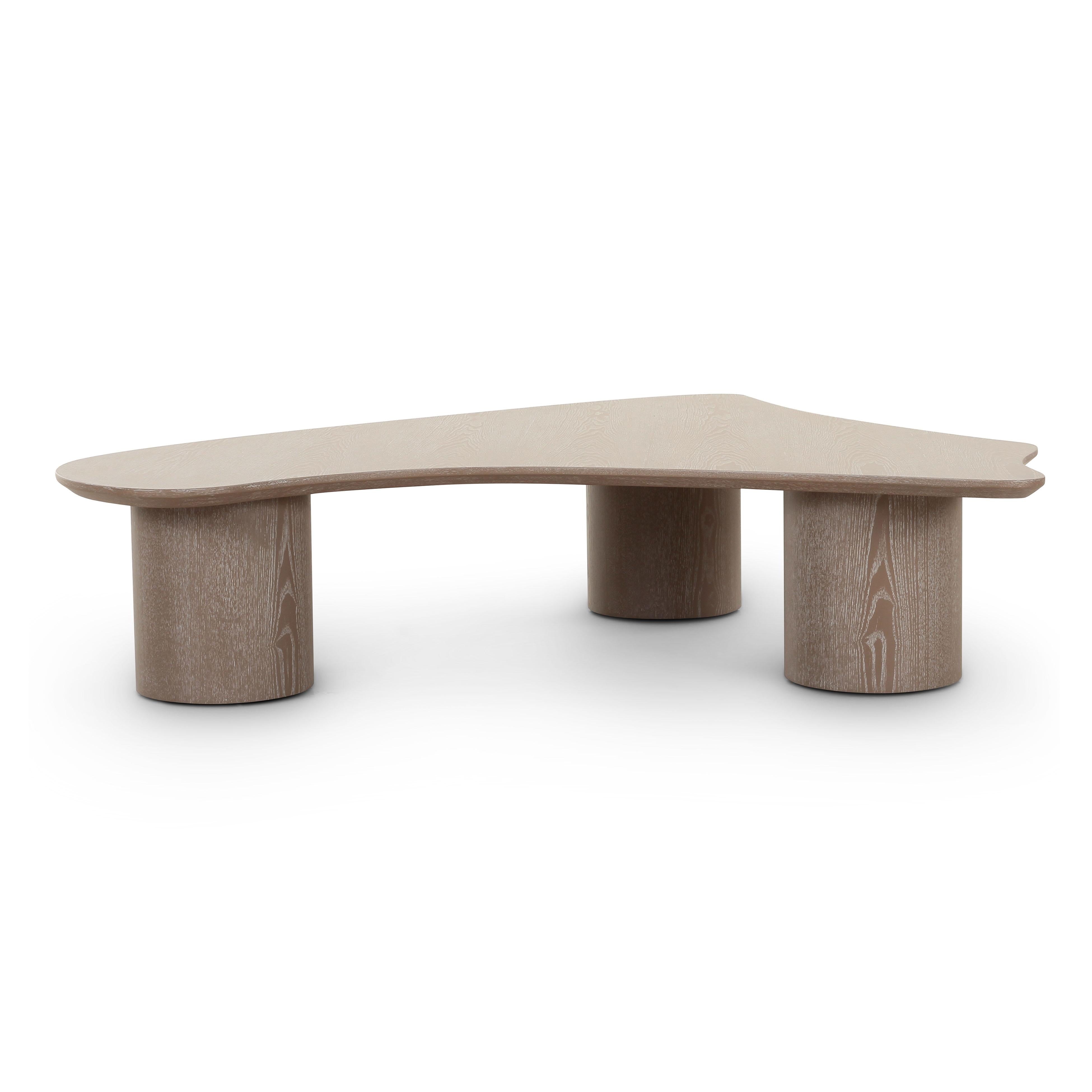 Rhema 55" Washed Ash Organic Low Coffee Table