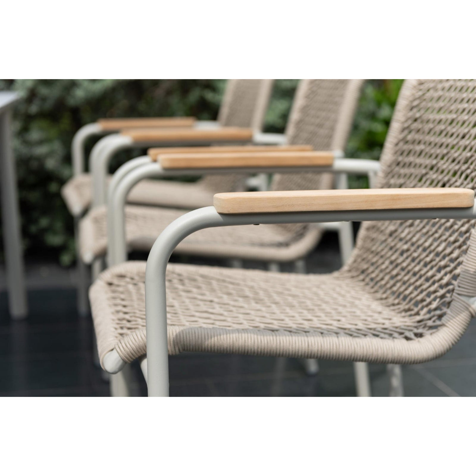 Tash Dining Chair