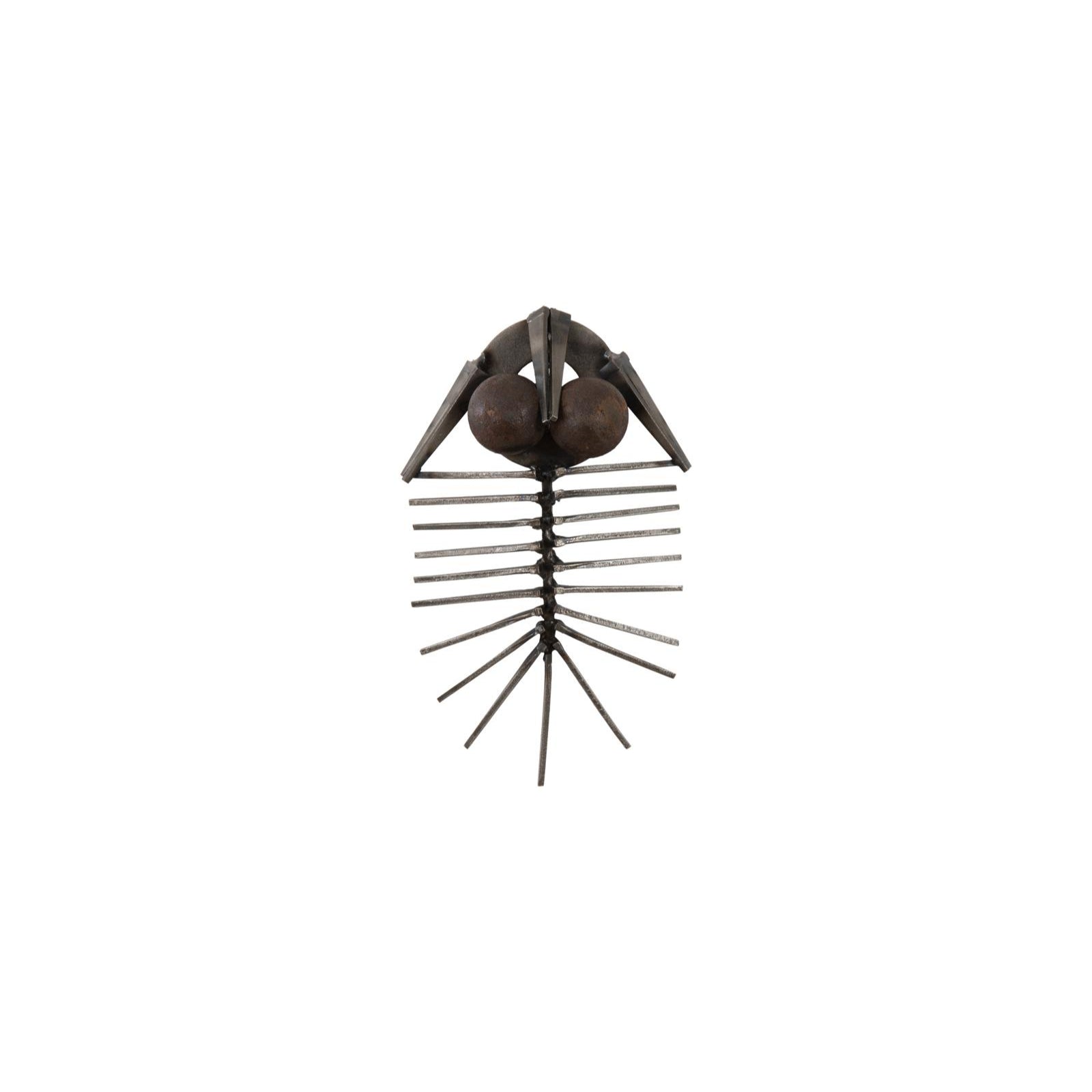 Trilobites Wall Decor