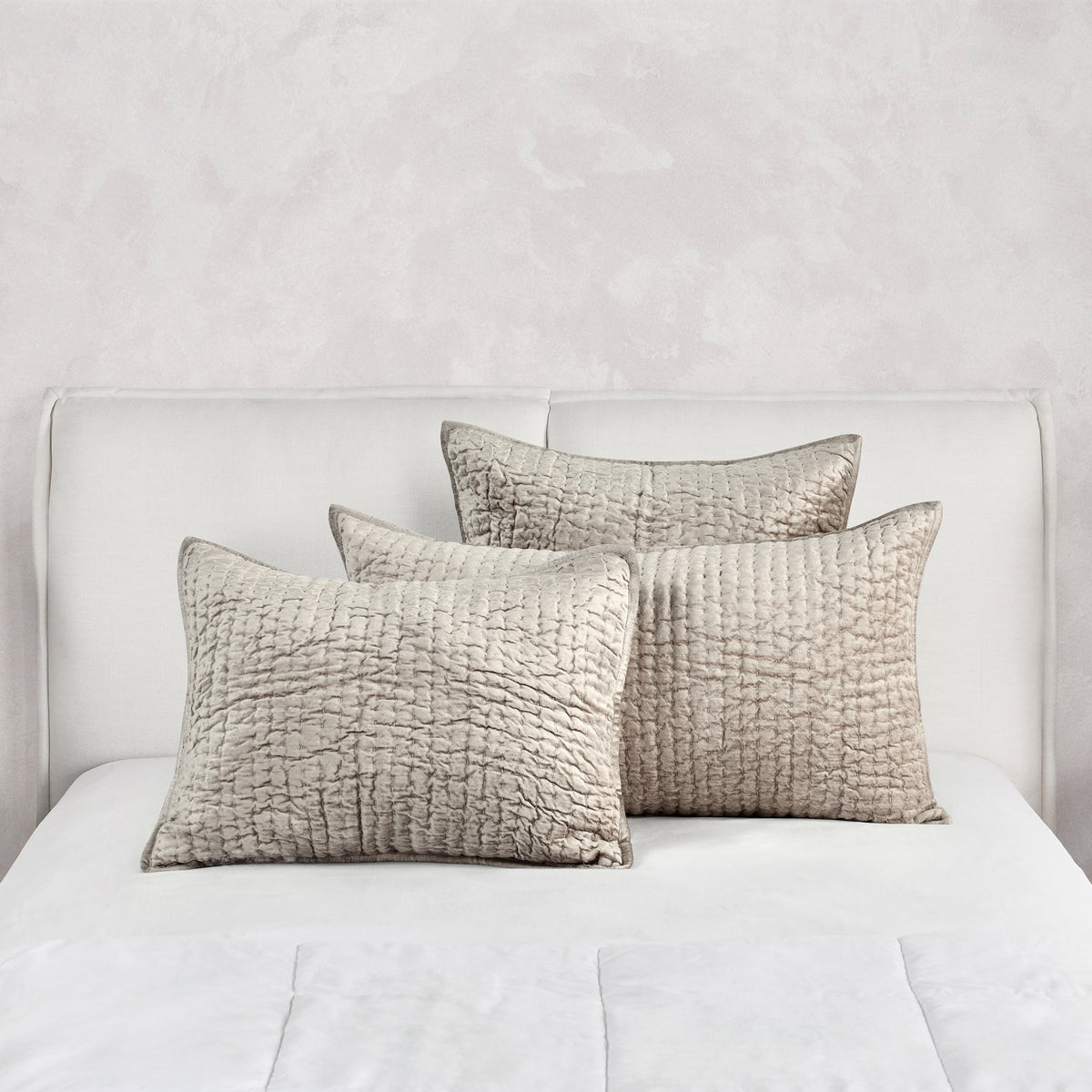Bari Velvet Euro Pillow Sham