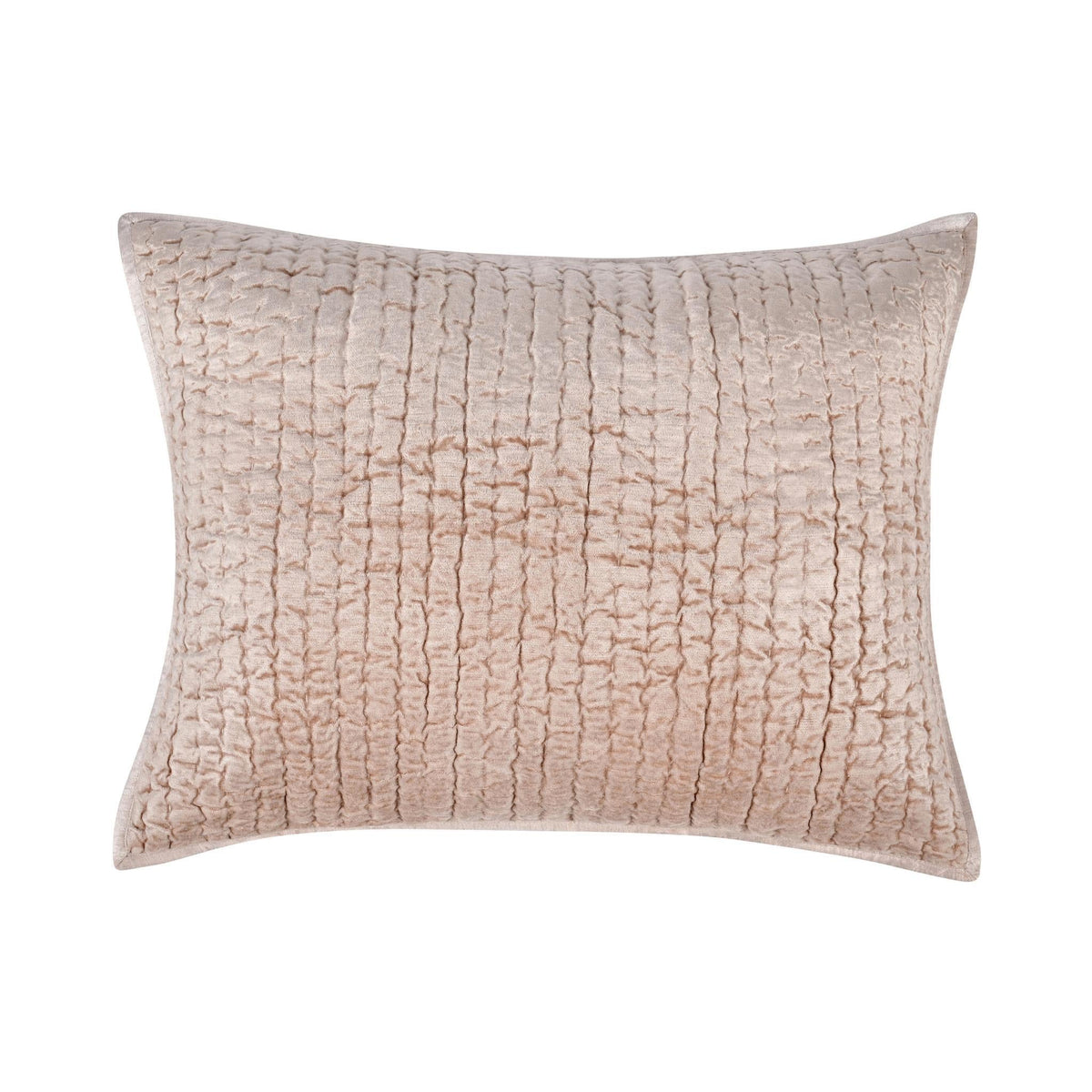 Bari Velvet Pillow Sham