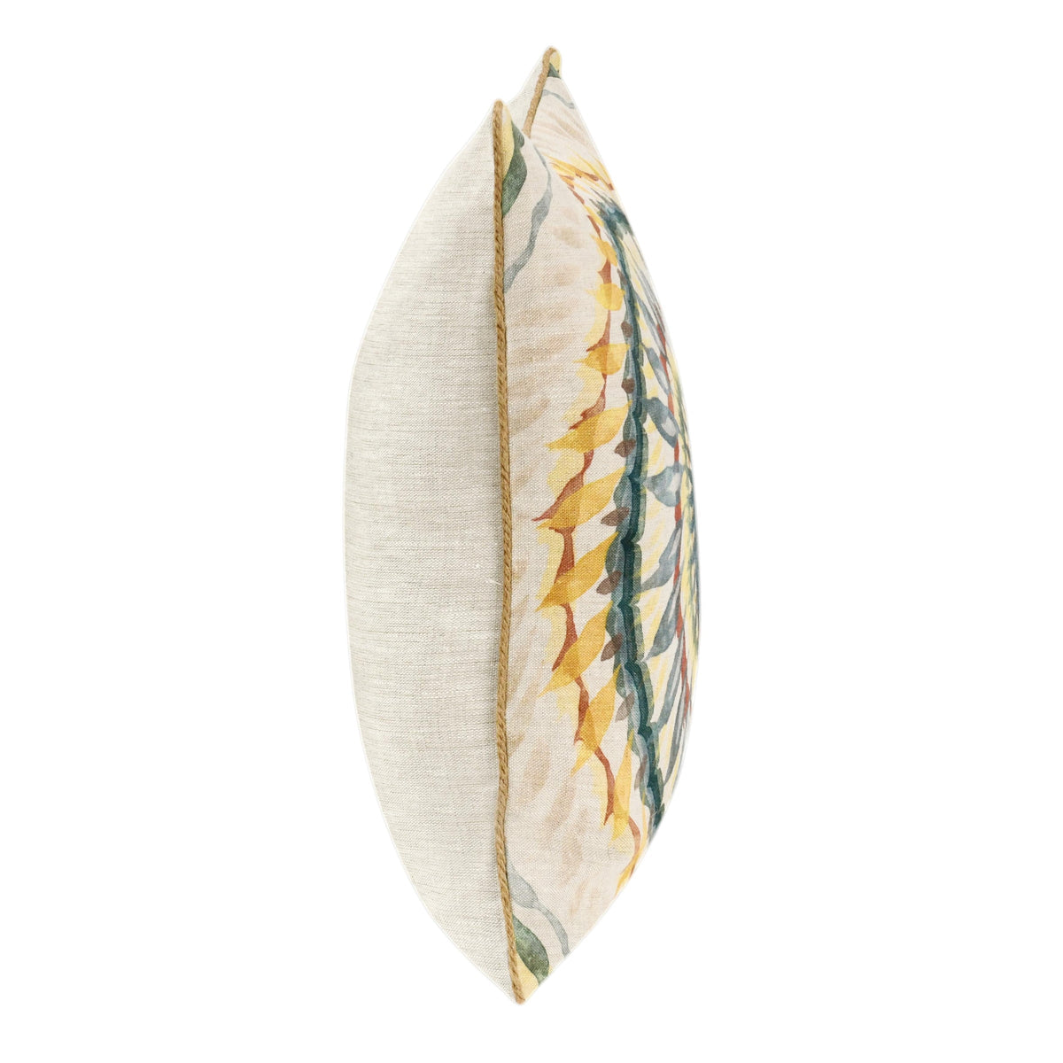 CA Mesta Blue Multi Pillow