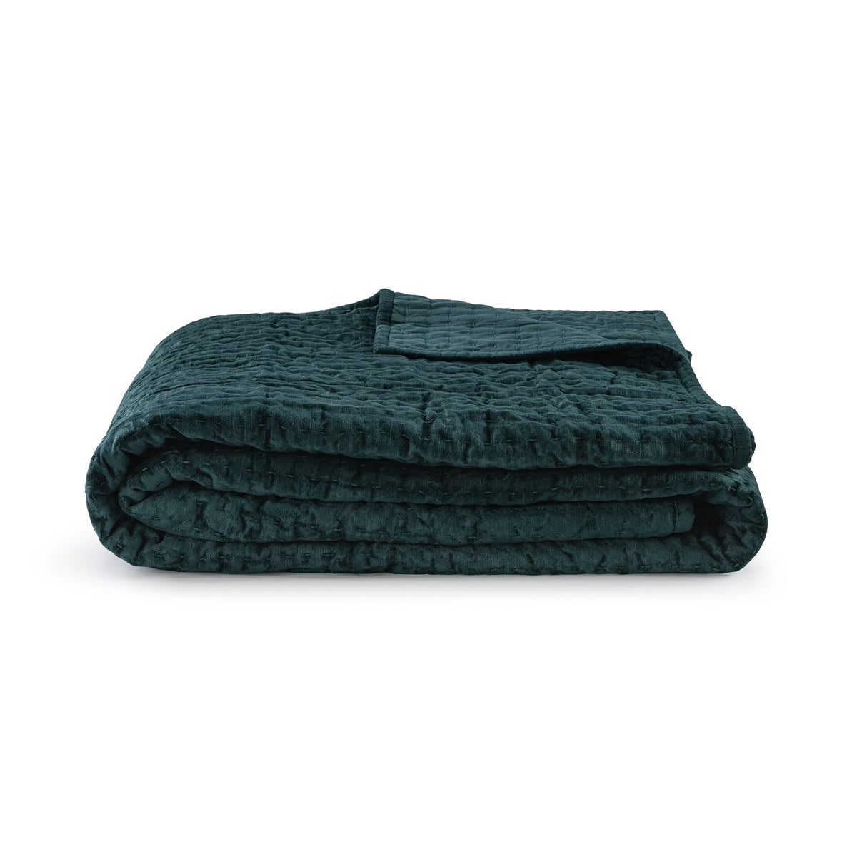Bari Velvet Queen Quilt