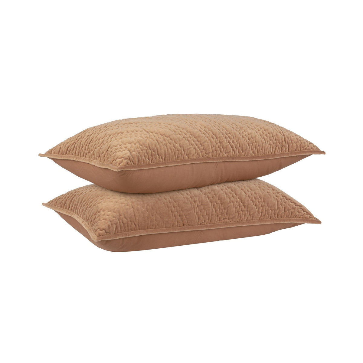 Elms Velvet Sham
