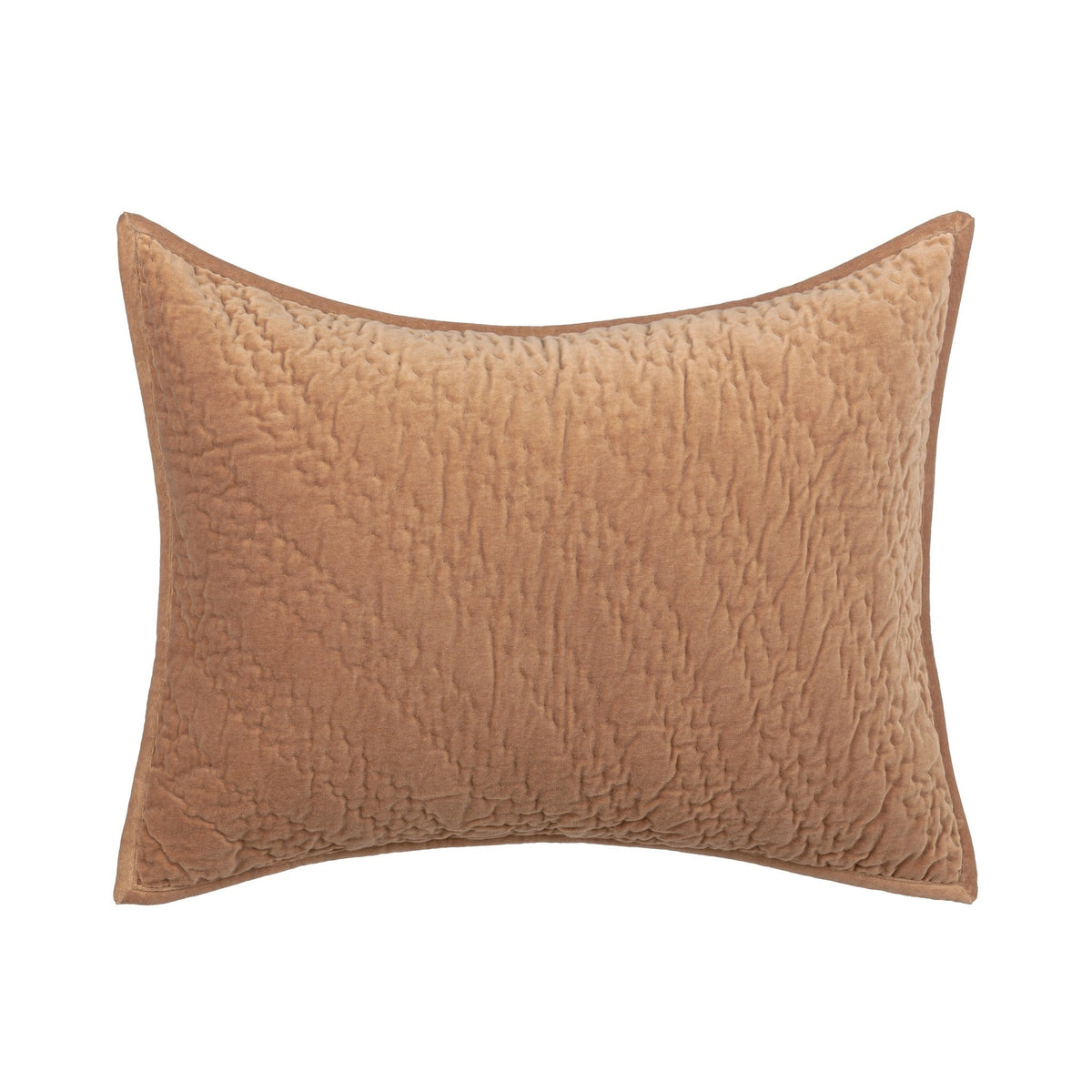 Elms Velvet Sham