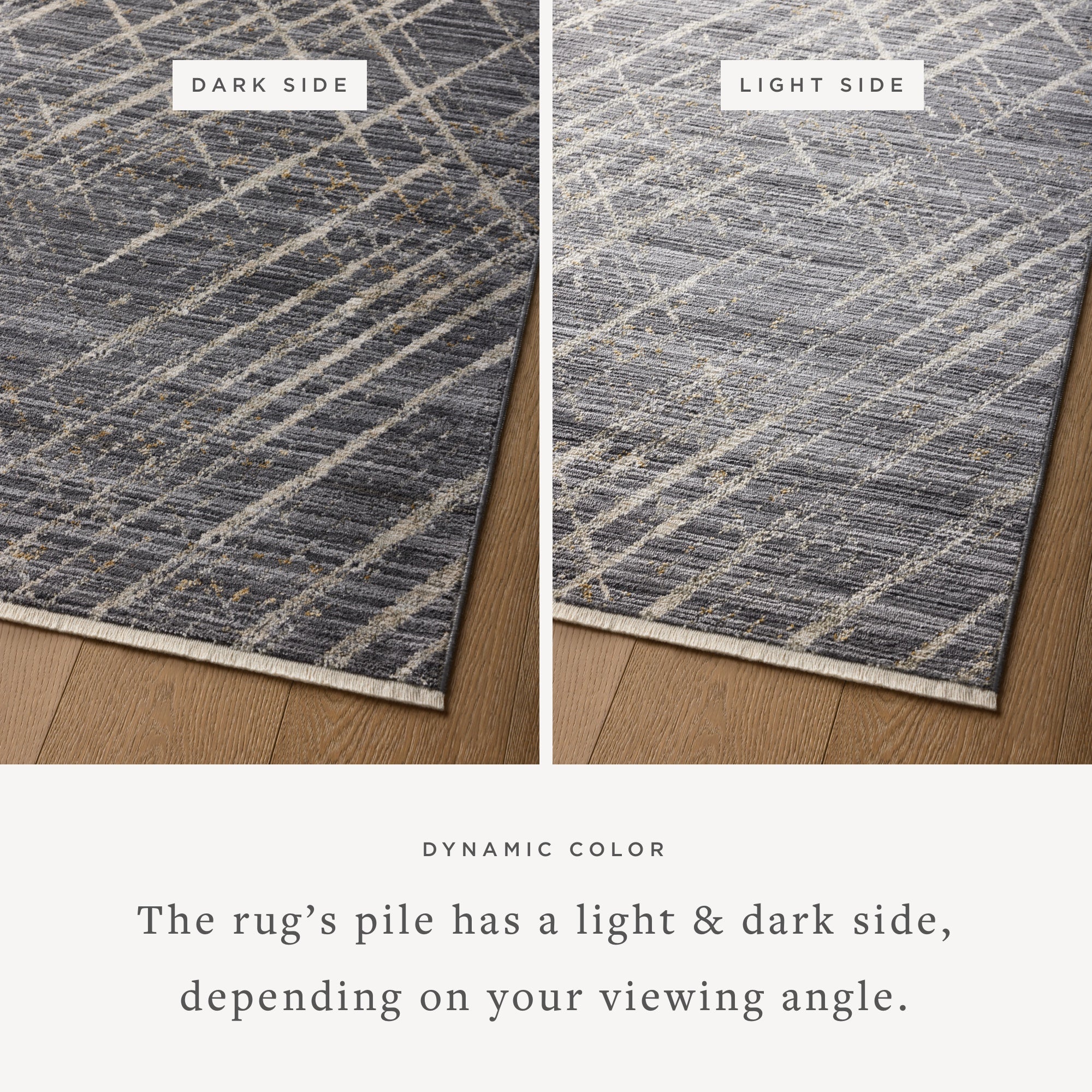 Loloi Wade Midnight/Beige Rug