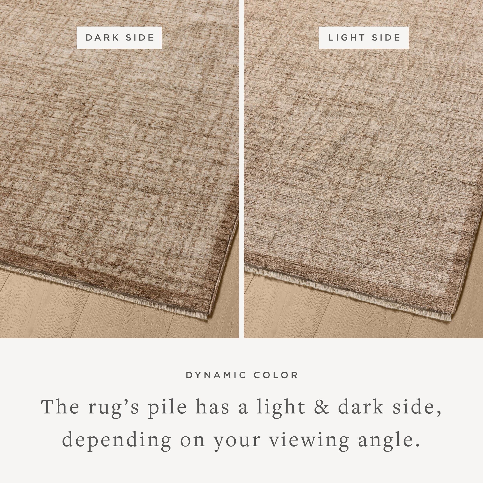 Loloi Winston Earth/Bone Rug