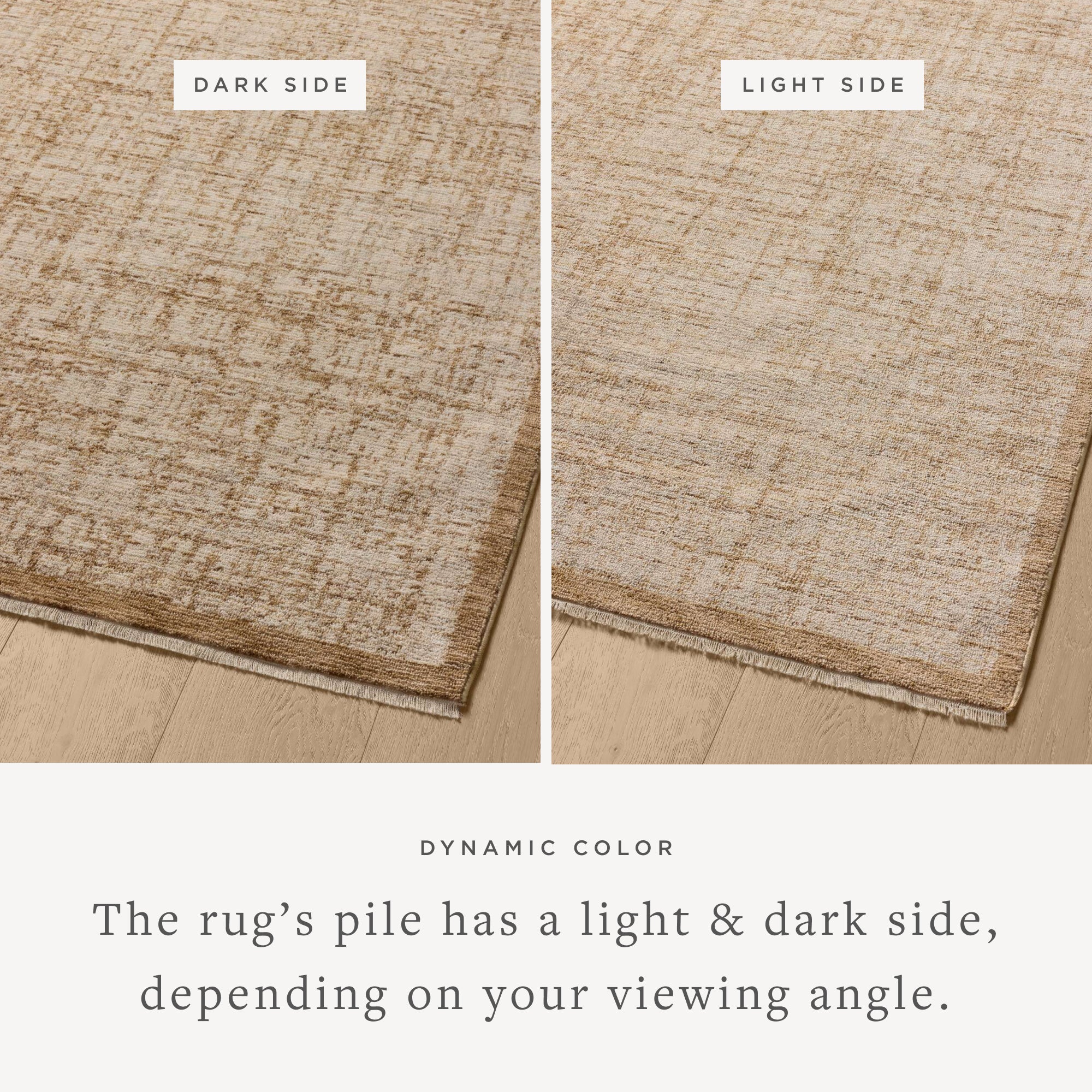Loloi Winston Spice/Bone Rug