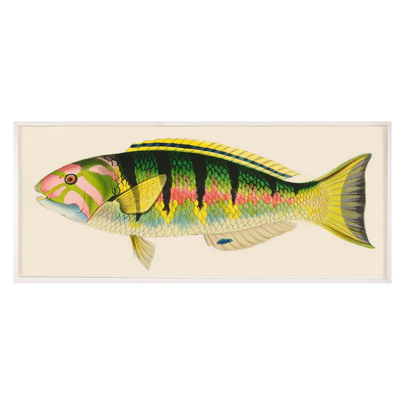 Bennet Fish 3 Art Studio Jonathan Adler , Black Friday Sale Jonathan Adler Furniture Sale, Old Bones Co, Mid Century Furniture Sale, Four Hands Furniture, Black Friday Sale Bennet Fish 3,Gus Sale, Perigold Bennet Fish 3 Art Studio Black Friday Sale , Perigold Sale Bennet Fish 3,Bennet Fish 3 Lulu and Georgia, Burke Decor Sale Bennet Fish 3, www.oldbonesco.com