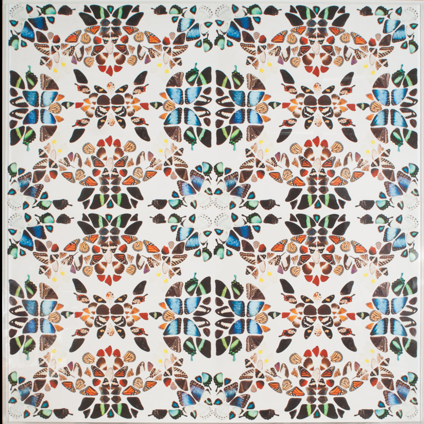 Butterfly Patterns 1 Art Studio Jonathan Adler , Black Friday Sale Jonathan Adler Furniture Sale, Old Bones Co, Mid Century Furniture Sale, Four Hands Furniture, Black Friday Sale Butterfly Patterns 1,Gus Sale, Perigold Butterfly Patterns 1 Art Studio Black Friday Sale , Perigold Sale Butterfly Patterns 1,Butterfly Patterns 1 Lulu and Georgia, Burke Decor Sale Butterfly Patterns 1, www.oldbonesco.com
