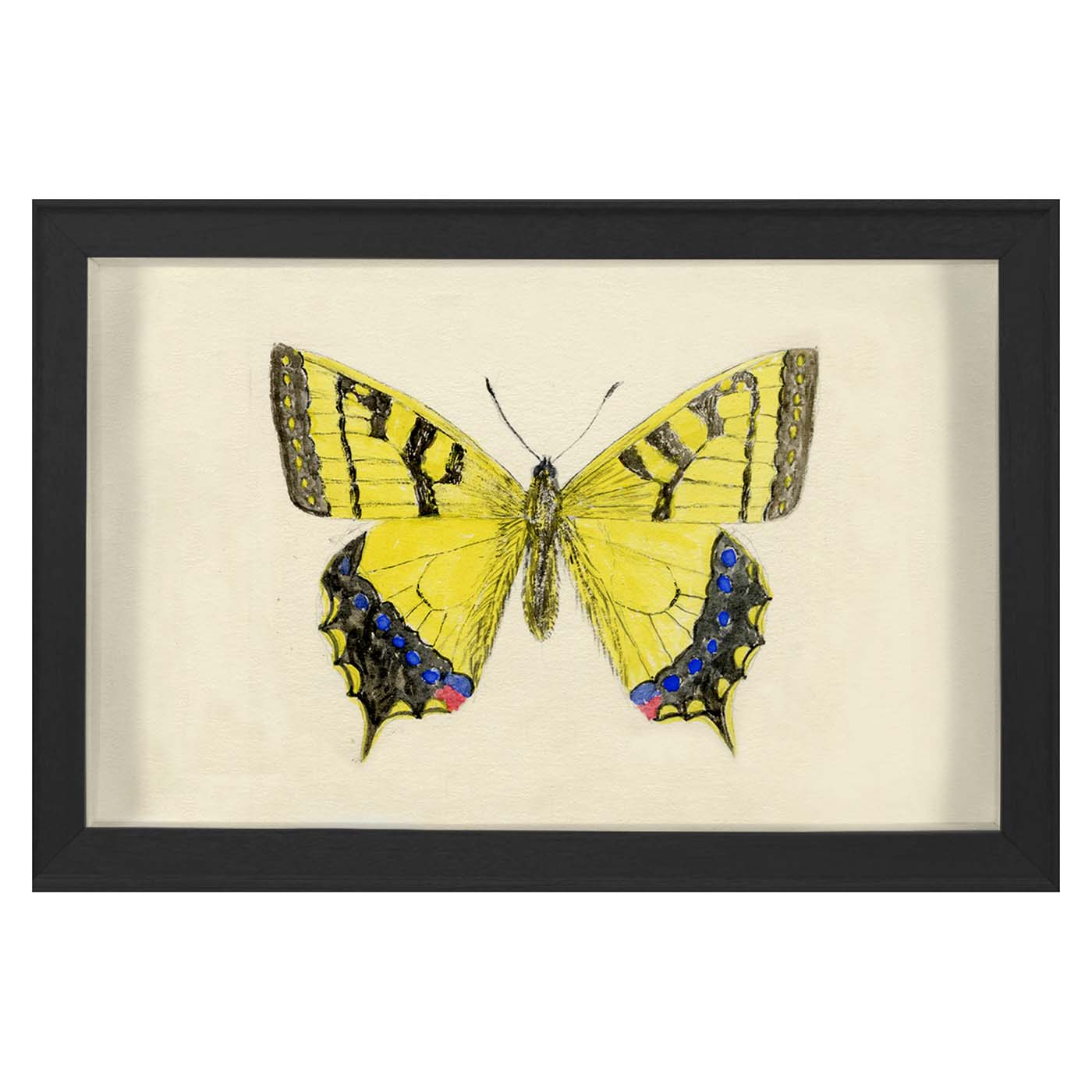 Hubbard Butterfly, Small: 1010 Art Studio Jonathan Adler , Black Friday Sale Jonathan Adler Furniture Sale, Old Bones Co, Mid Century Furniture Sale, Four Hands Furniture, Black Friday Sale Hubbard Butterfly, Small: 1010,Gus Sale, Perigold Hubbard Butterfly, Small: 1010 Art Studio Black Friday Sale , Perigold Sale Hubbard Butterfly, Small: 1010,Hubbard Butterfly, Small: 1010 Lulu and Georgia, Burke Decor Sale Hubbard Butterfly, Small: 1010, www.oldbonesco.com