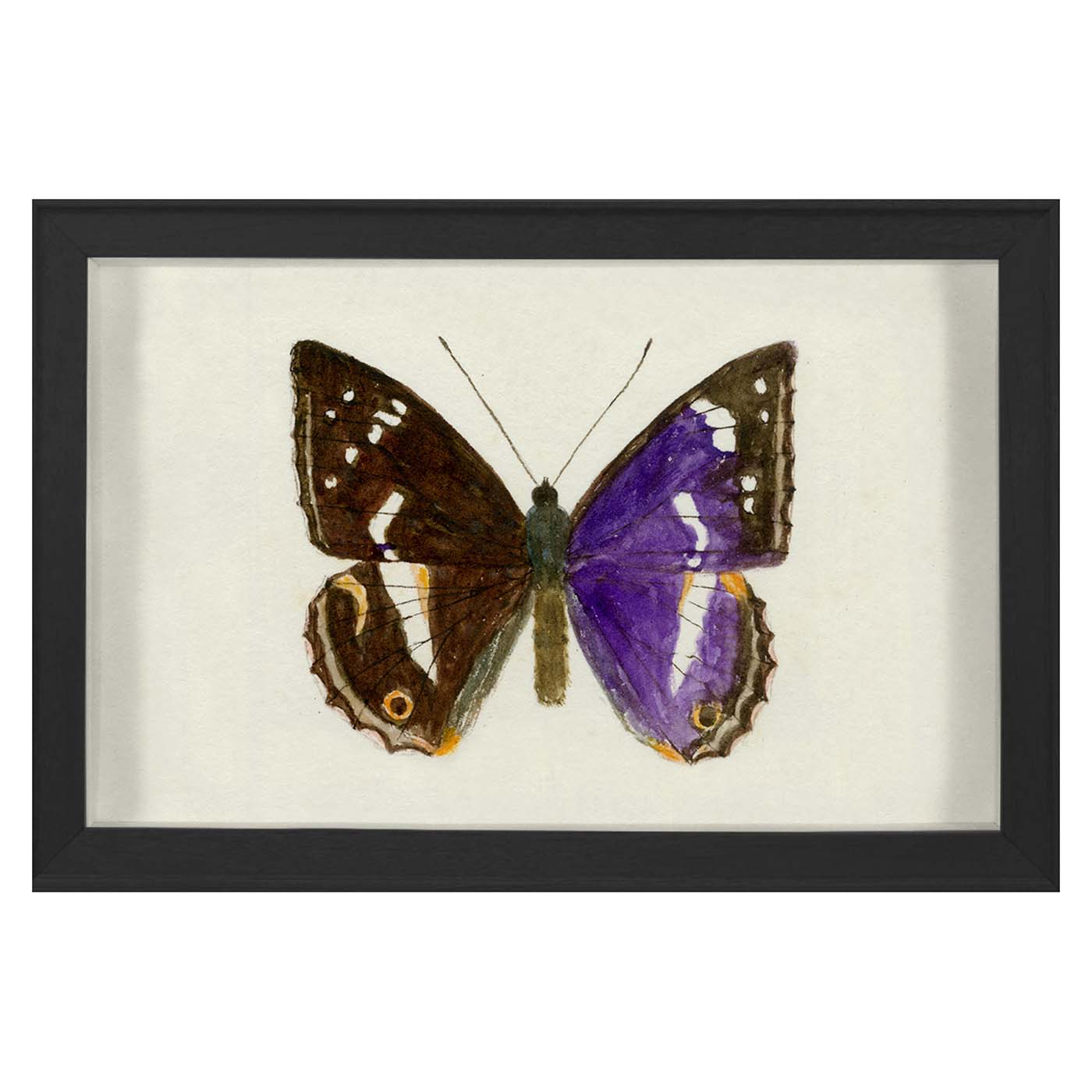 Hubbard Butterfly, Small: 1160 Art Studio Jonathan Adler , Black Friday Sale Jonathan Adler Furniture Sale, Old Bones Co, Mid Century Furniture Sale, Four Hands Furniture, Black Friday Sale Hubbard Butterfly, Small: 1160,Gus Sale, Perigold Hubbard Butterfly, Small: 1160 Art Studio Black Friday Sale , Perigold Sale Hubbard Butterfly, Small: 1160,Hubbard Butterfly, Small: 1160 Lulu and Georgia, Burke Decor Sale Hubbard Butterfly, Small: 1160, www.oldbonesco.com