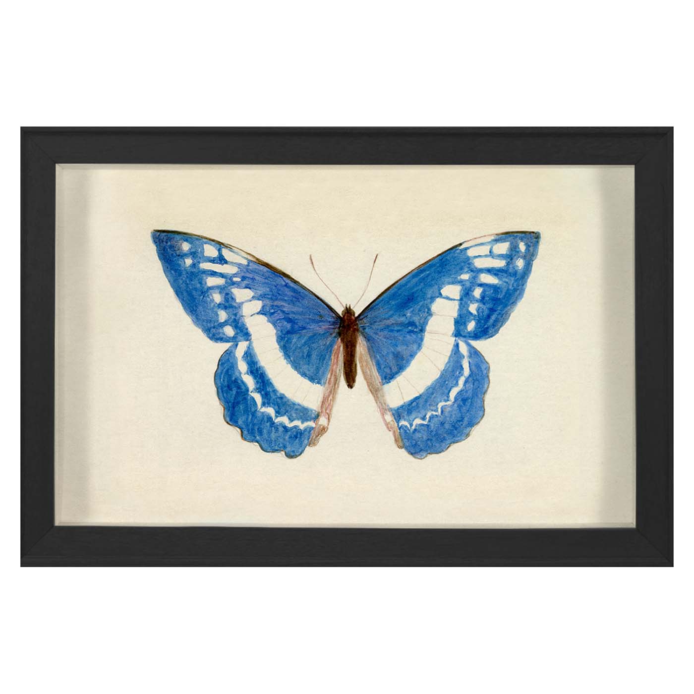 Hubbard Butterfly, Small: 135 Art Studio Jonathan Adler , Black Friday Sale Jonathan Adler Furniture Sale, Old Bones Co, Mid Century Furniture Sale, Four Hands Furniture, Black Friday Sale Hubbard Butterfly, Small: 135,Gus Sale, Perigold Hubbard Butterfly, Small: 135 Art Studio Black Friday Sale , Perigold Sale Hubbard Butterfly, Small: 135,Hubbard Butterfly, Small: 135 Lulu and Georgia, Burke Decor Sale Hubbard Butterfly, Small: 135, www.oldbonesco.com