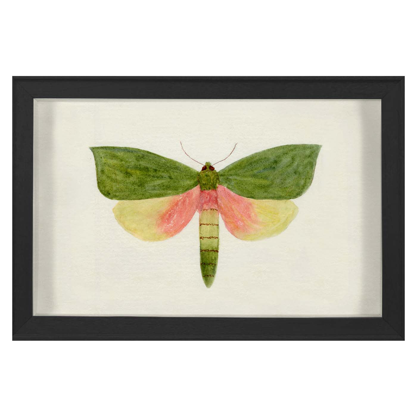 Hubbard Butterfly, Small: 146 Art Studio Jonathan Adler , Black Friday Sale Jonathan Adler Furniture Sale, Old Bones Co, Mid Century Furniture Sale, Four Hands Furniture, Black Friday Sale Hubbard Butterfly, Small: 146,Gus Sale, Perigold Hubbard Butterfly, Small: 146 Art Studio Black Friday Sale , Perigold Sale Hubbard Butterfly, Small: 146,Hubbard Butterfly, Small: 146 Lulu and Georgia, Burke Decor Sale Hubbard Butterfly, Small: 146, www.oldbonesco.com