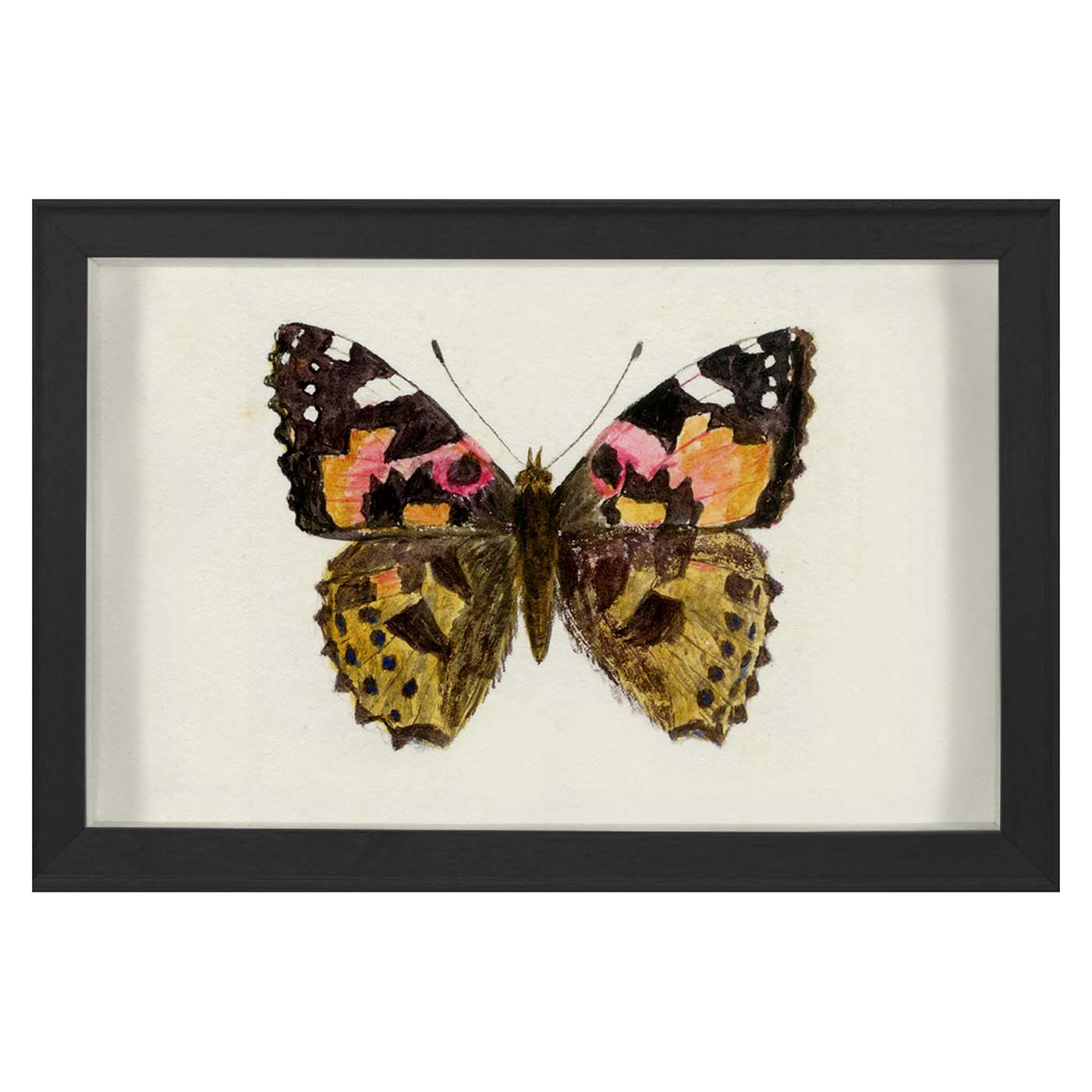 Hubbard Butterfly, Small: 1632 Art Studio Jonathan Adler , Black Friday Sale Jonathan Adler Furniture Sale, Old Bones Co, Mid Century Furniture Sale, Four Hands Furniture, Black Friday Sale Hubbard Butterfly, Small: 1632,Gus Sale, Perigold Hubbard Butterfly, Small: 1632 Art Studio Black Friday Sale , Perigold Sale Hubbard Butterfly, Small: 1632,Hubbard Butterfly, Small: 1632 Lulu and Georgia, Burke Decor Sale Hubbard Butterfly, Small: 1632, www.oldbonesco.com