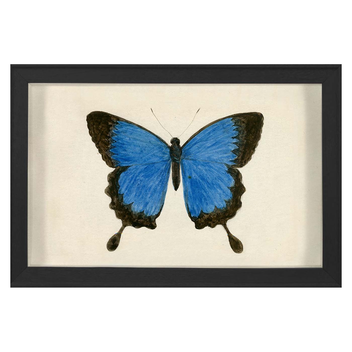 Hubbard Butterfly, Small: 181 Art Studio Jonathan Adler , Black Friday Sale Jonathan Adler Furniture Sale, Old Bones Co, Mid Century Furniture Sale, Four Hands Furniture, Black Friday Sale Hubbard Butterfly, Small: 181,Gus Sale, Perigold Hubbard Butterfly, Small: 181 Art Studio Black Friday Sale , Perigold Sale Hubbard Butterfly, Small: 181,Hubbard Butterfly, Small: 181 Lulu and Georgia, Burke Decor Sale Hubbard Butterfly, Small: 181, www.oldbonesco.com