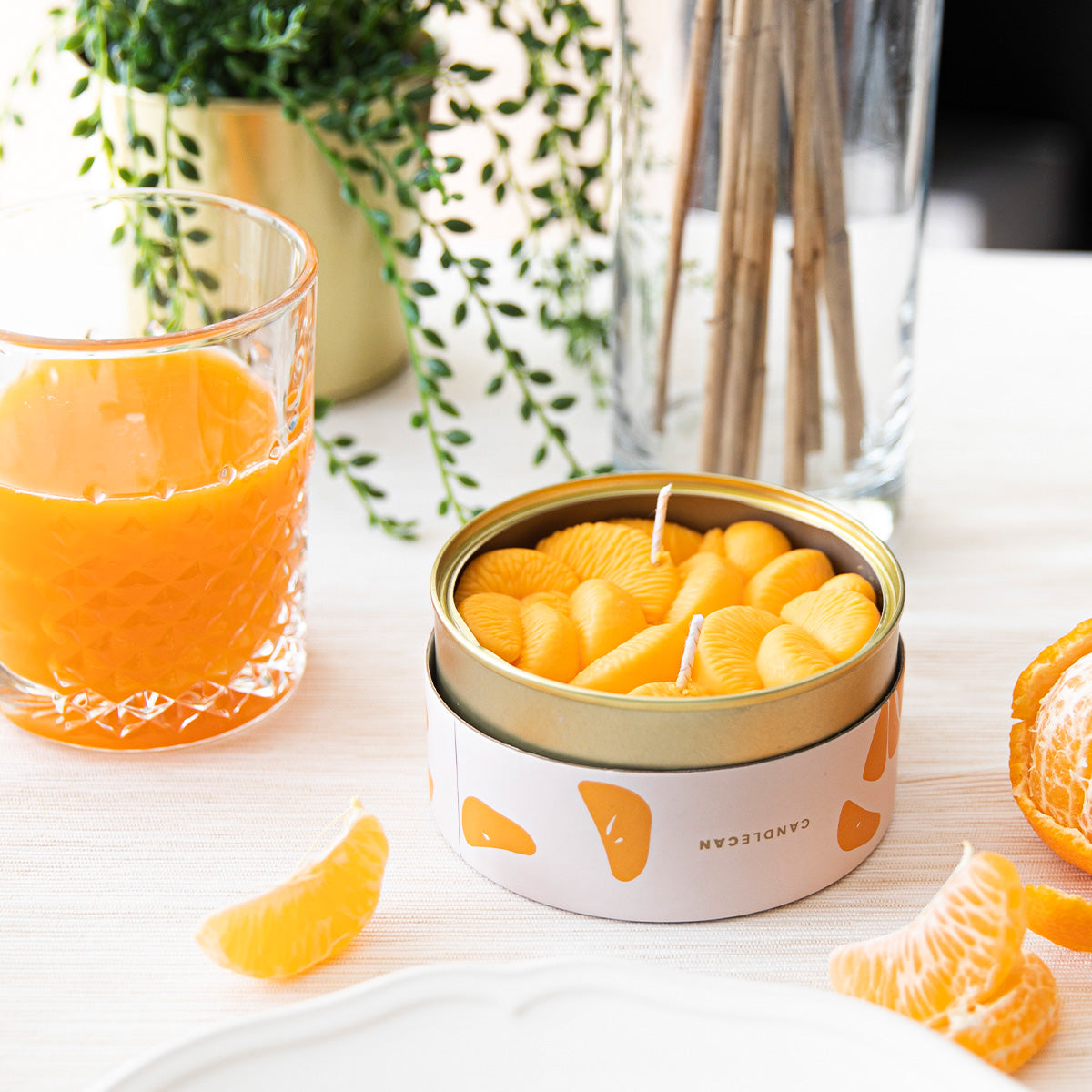 Candlecan - Peeled Tangerines CandleCan Candles 54Celsius , Black Friday Sale 54Celsius Furniture Sale, Old Bones Co, Mid Century Furniture Sale, Four Hands Furniture, Black Friday Sale Candlecan - Peeled Tangerines,Gus Sale, Perigold Candlecan - Peeled Tangerines CandleCan Candles Black Friday Sale , Perigold Sale Candlecan - Peeled Tangerines,Candlecan - Peeled Tangerines Lulu and Georgia, Burke Decor Sale Candlecan - Peeled Tangerines, www.oldbonesco.com