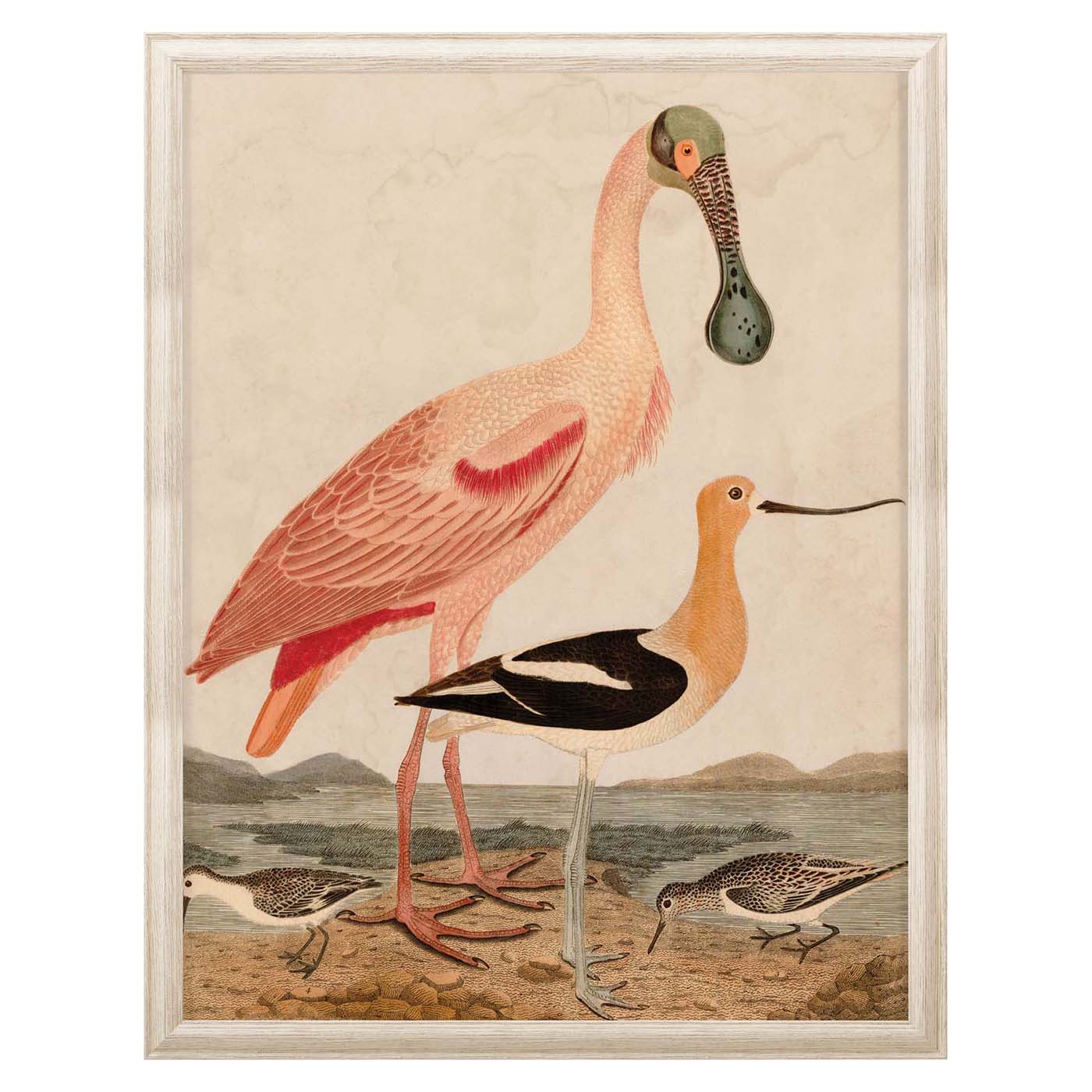 Warnicke Spoonbill Art Studio Jonathan Adler , Black Friday Sale Jonathan Adler Furniture Sale, Old Bones Co, Mid Century Furniture Sale, Four Hands Furniture, Black Friday Sale Warnicke Spoonbill,Gus Sale, Perigold Warnicke Spoonbill Art Studio Black Friday Sale , Perigold Sale Warnicke Spoonbill,Warnicke Spoonbill Lulu and Georgia, Burke Decor Sale Warnicke Spoonbill, www.oldbonesco.com