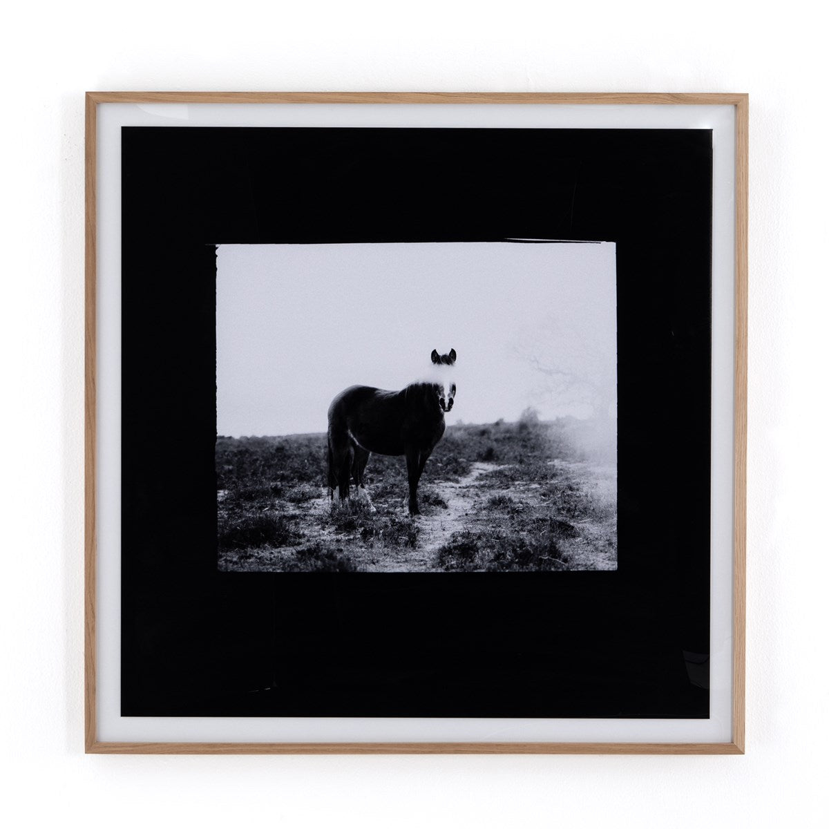 Blank Horse By Annie Spratt Painting Four Hands     Four Hands, Burke Decor, Mid Century Modern Furniture, Old Bones Furniture Company, Old Bones Co, Modern Mid Century, Designer Furniture, https://www.oldbonesco.com/