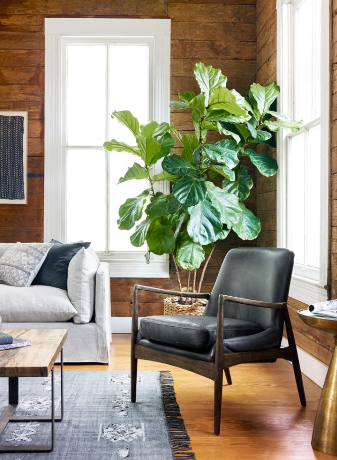 Braden Chair Braden Chair Four Hands     Four Hands, Mid Century Modern Furniture, Old Bones Furniture Company, Old Bones Co, Modern Mid Century, Designer Furniture, https://www.oldbonesco.com/
