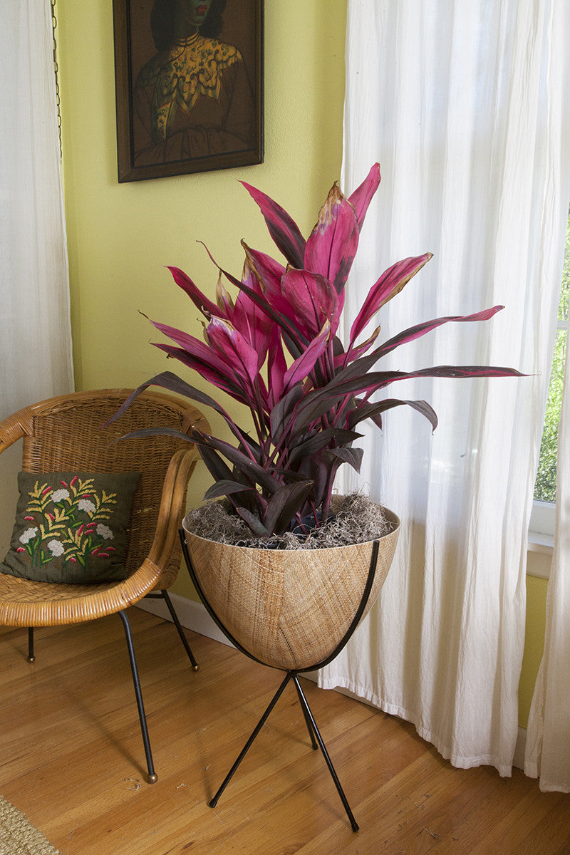 Retro Bullet Planter - Hip Haven Medium 23 / RattanPots, Vases, Vessels Hip Haven  Medium 23 Rattan  Four Hands, Burke Decor, Mid Century Modern Furniture, Old Bones Furniture Company, Old Bones Co, Modern Mid Century, Designer Furniture, https://www.oldbonesco.com/