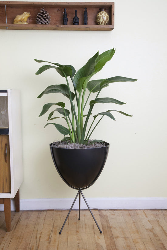 Retro Bullet Planter - Hip Haven Pots, Vases, Vessels Hip Haven     Four Hands, Burke Decor, Mid Century Modern Furniture, Old Bones Furniture Company, Old Bones Co, Modern Mid Century, Designer Furniture, https://www.oldbonesco.com/
